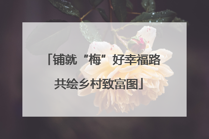铺就“梅”好幸福路 共绘乡村致富图